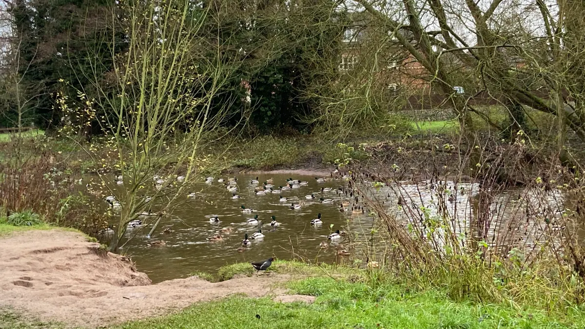 On the Nantwich Countryside Circular route