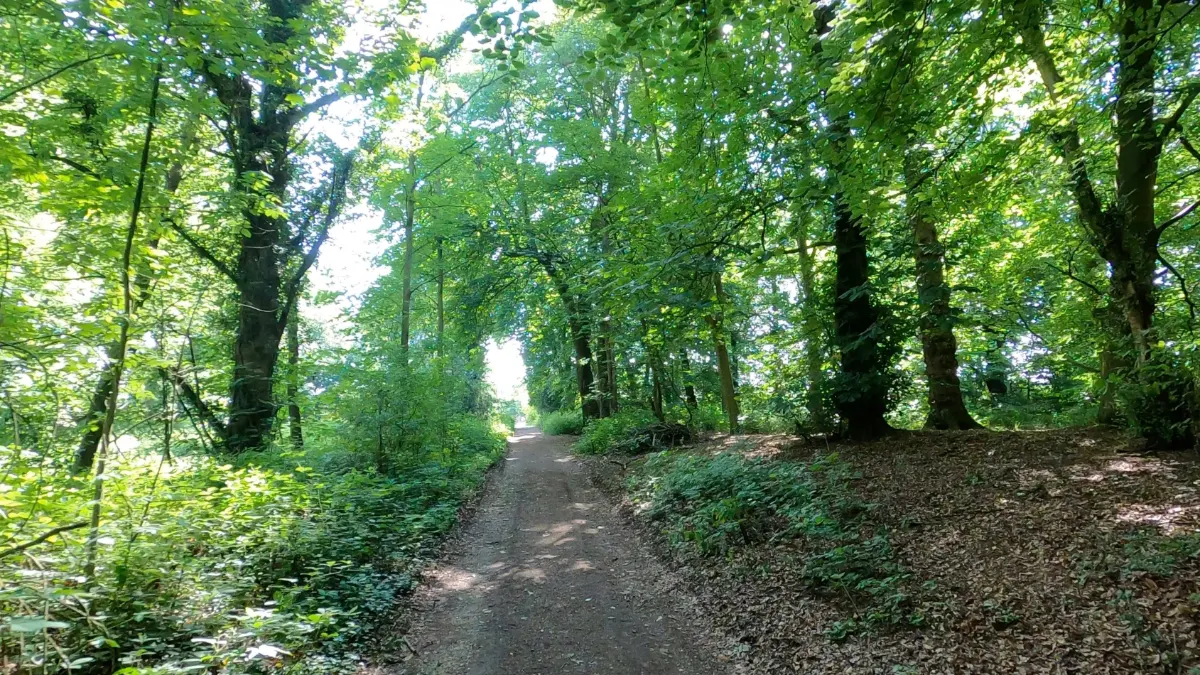 On the Rode Heath and Church Lawton route