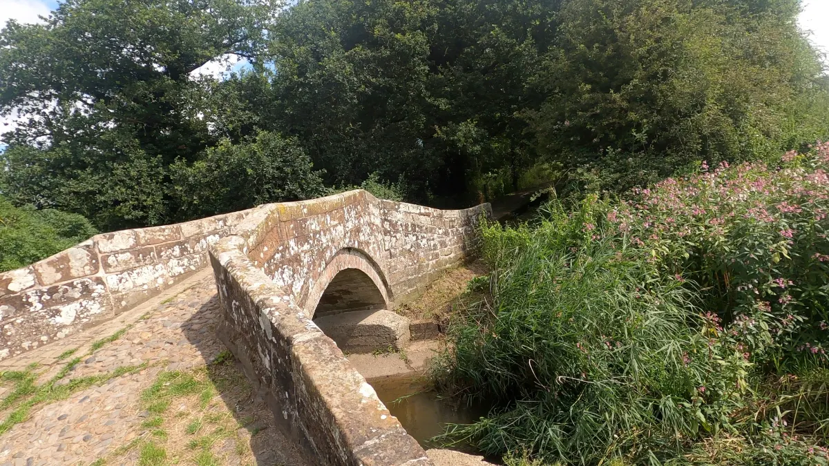On the The Baker Way: Chester to Delamere Forest route