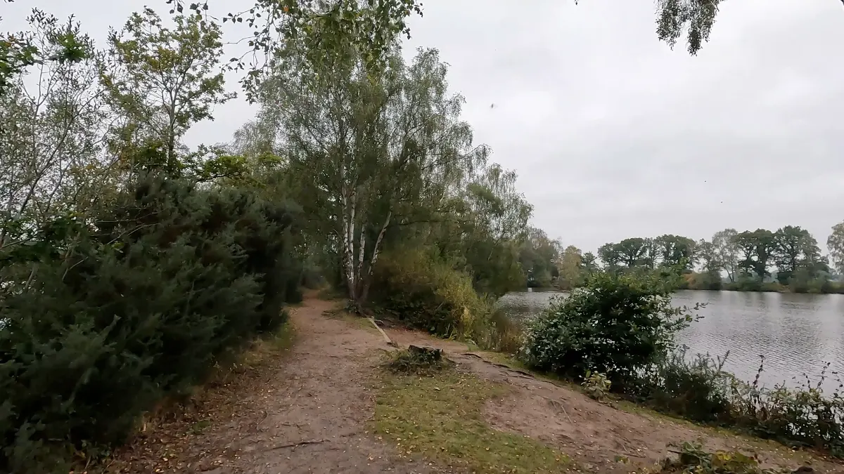 On the Goostrey and Allostock to Dovemere route