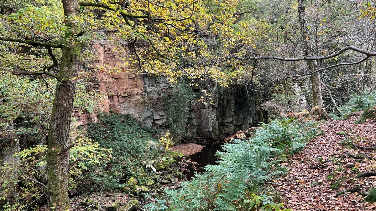 On the Lud's Church from Wincle route