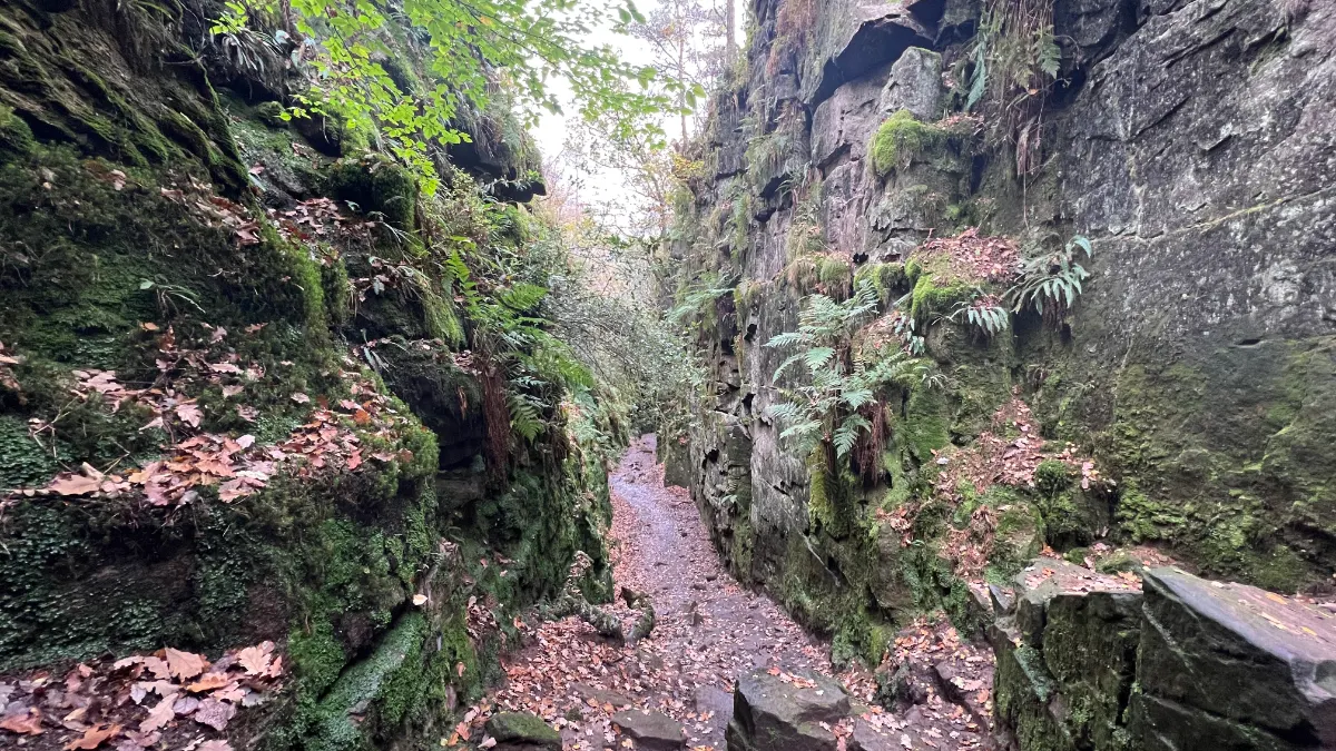 On the Lud's Church from Wincle route