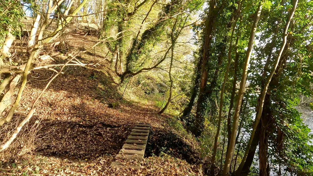 On the River Weaver: Frodsham to Dutton Locks route