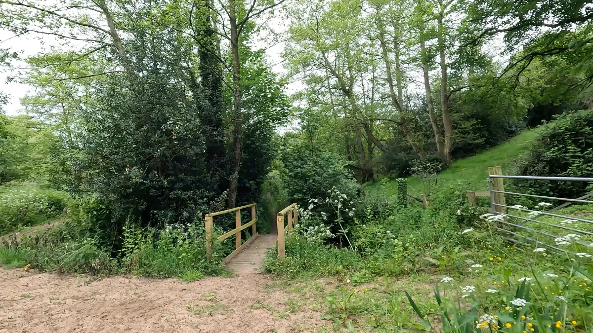 On the Whitegate Circular route