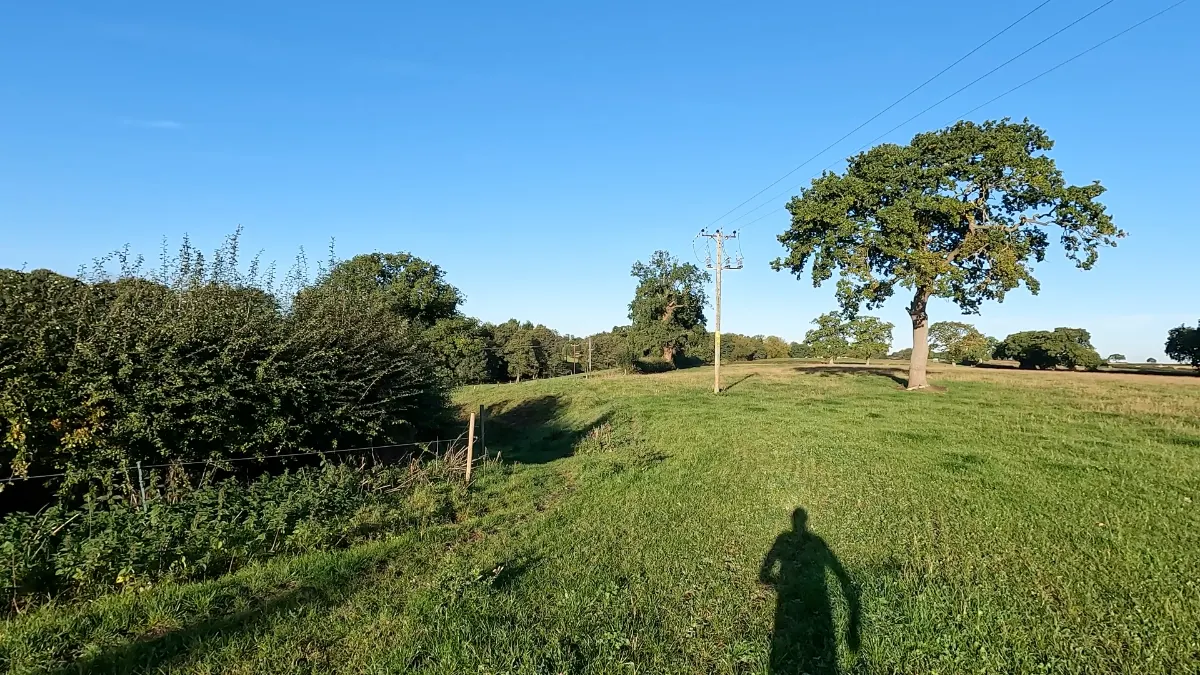 On the Bunbury to Beeston Castle route