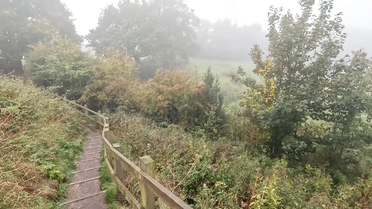 On the Dunham Woodhouses and the Bridgewater Canal route