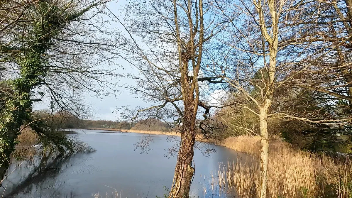 On the Little Budworth Circular route