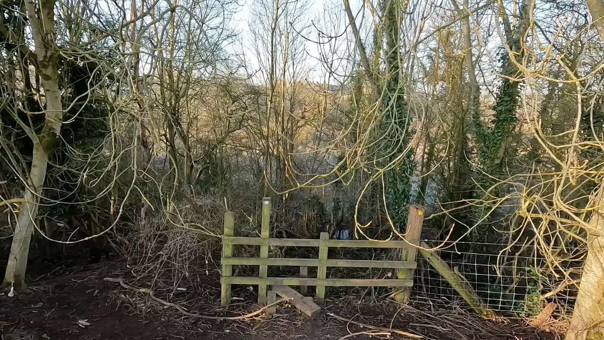 On the Crowton and the River Weaver route