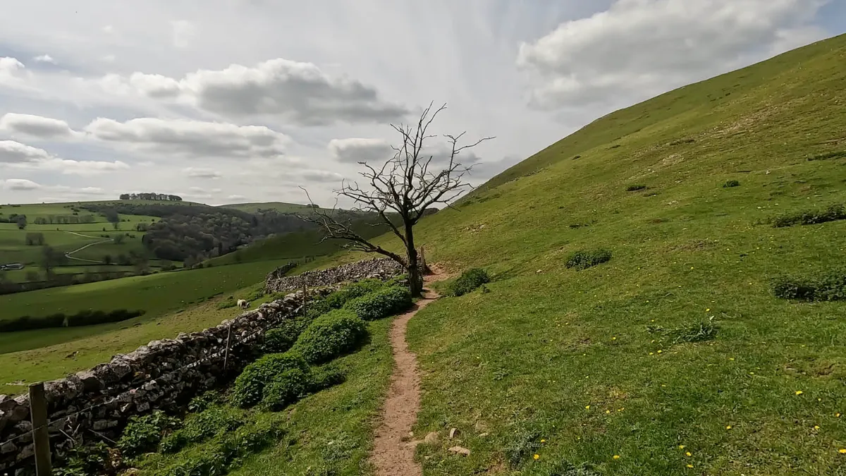 On the Dovedale from Milldale route