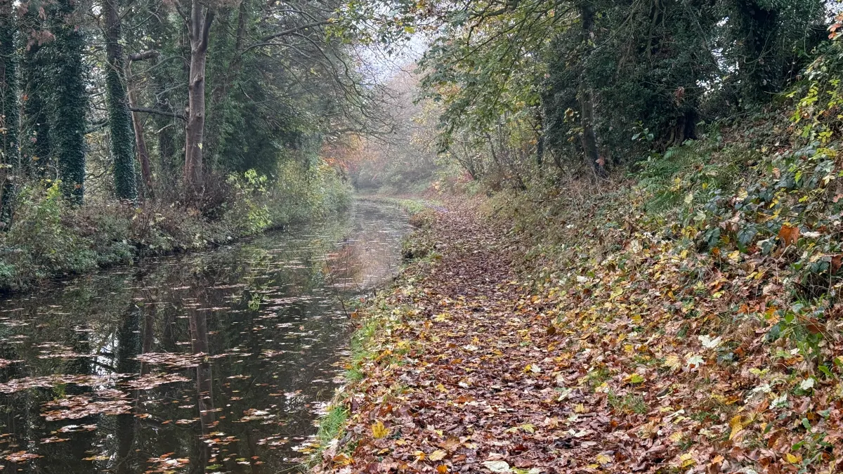 On the Market Drayton and the Shroppie route