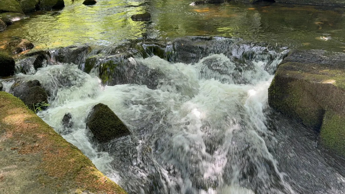 On the King Doniert's Stone to Golitha Falls route